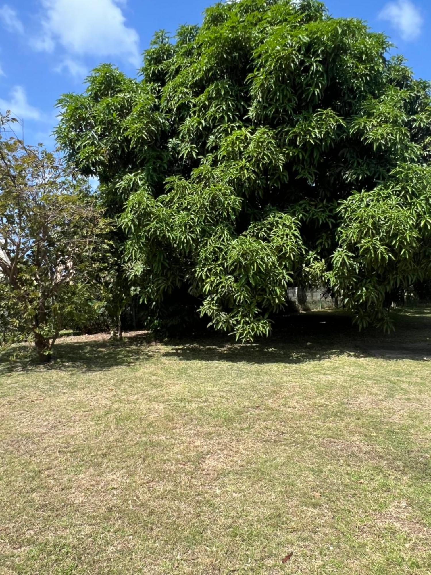 Entire Home - West Coast Barbados Saint Peter Buitenkant foto